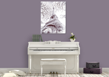 Load image into Gallery viewer, Eiffel Tower Canvas Print